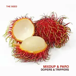 Album herunterladen Mixdup & Paro - Dopers Trippers