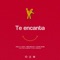 Te Encanta (feat. Reis Belico & David Rone) - Crilo & Alex lyrics