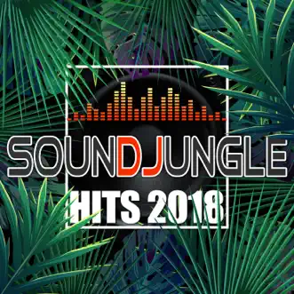 Soundjungle Hits 2018 by Various Artists album reviews, ratings, credits