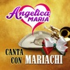 Canta Con Mariachi