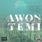 Awon Temi (feat. Black Swag & Juzt Vibez) - Black Beatz lyrics