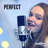 Perfect - Single