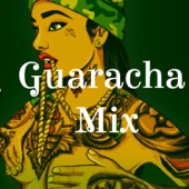 Guaracha Mix (feat. Aleteo Solido) - EP artwork