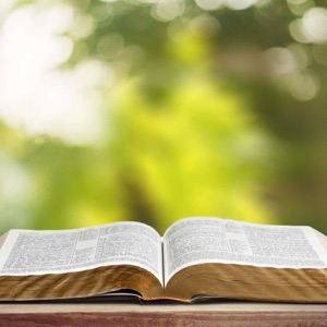 Life with Father (1 John 1:1-4)