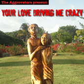 Your Love Driving Me Crazy - Vários intérpretes