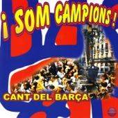 Som Campions (We Are the Champions) artwork