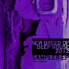 New Breed of Deep House 2012
