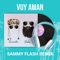 Vuy Aman (Sammy Flash Remix) [feat. Sebu] - Sirusho lyrics