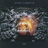 Steve Tibbetts - Full Moon Dogs