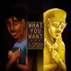 Stream & download What You Want (feat. Eric Heron)