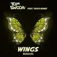 Wings (Black Boots Remix) Song Lyrics