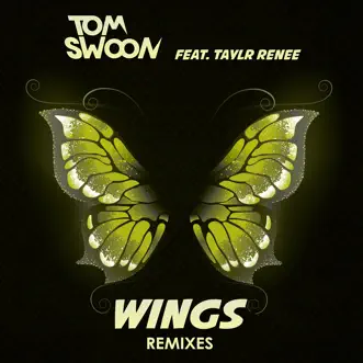 Wings (Black Boots Remix) by Tom Swoon song reviws