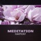 Zen Serenity - Deep Meditation Academy lyrics