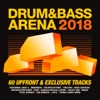 Drum&BassArena 2018, 2018