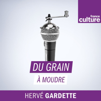 Du grain à moudre podcast