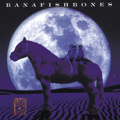 Grey Test Hits - Bananafishbones