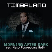 Timbaland - Morning After Dark