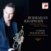 Gábor Boldoczki, Prague Philharmonia & Soma Dinyés - Trumpet Concerto in E-Flat Major: II. Largo