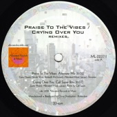 Mr. Fingers - Praise to the Vibes (Mr. Fingers Alternate Version)
