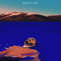 NIGHT FLIGHT - NIGHT FLIGHT artwork