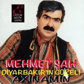 Ahlatın Başındayım (Dıçım Dıçım) artwork