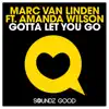 Gotta Let You Go (feat. Amanda Wilson) [Remixes] album lyrics, reviews, download