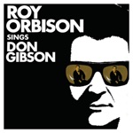 Roy Orbison - Give Myself a Party