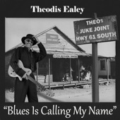 Play Me That Old Time Blues artwork