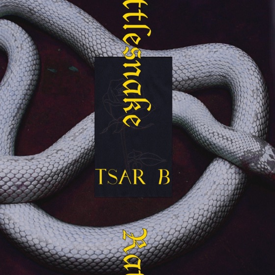 Cover artwork for Rattlesnake