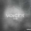 Voices - Single