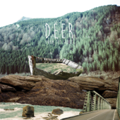 From the Shore - EP - Deer