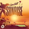 Sam Feldt - Blackbird (feat. Jake Reese)