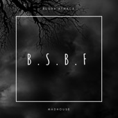 B.S.B.F artwork