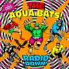 Radio Down! (feat. Biz Markie) song lyrics