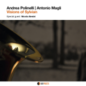 Visions of Sylvian (feat. Nicola Alesini) - Andrea Polinelli & Antonio Magli