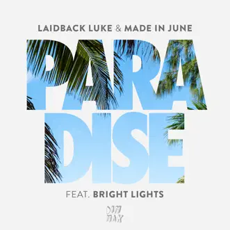 Paradise (feat. Bright Lights) by Laidback Luke & Made In June song reviws