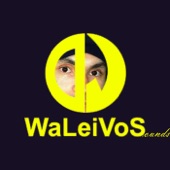 Waleivosounds artwork