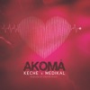 Akoma (feat. Medikal) - Single