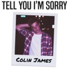 Tell You I'm Sorry - Single