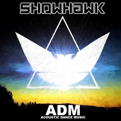 Showhawk Duo - Daft Punk Mashup