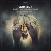 Pussy Motherfuckerz (D - Fence Extended Remix) artwork