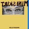 Hello Possums - Single