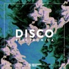 Disco Electronica, Vol. 29