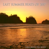 Last 2017 Summer Beat artwork