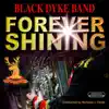Forever Shining album lyrics, reviews, download