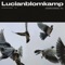 Control Together (feat. Rosebud Leach) - Lucianblomkamp lyrics