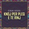 Knoj Per Pleq E Te Rinj - Sinan Hoxha lyrics
