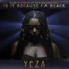 Stream & download Is It Because I'm Black (Remix) - Single