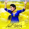 Just Desi - Single