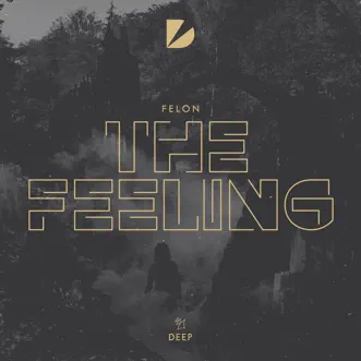 The Feeling - Single by Felon album reviews, ratings, credits